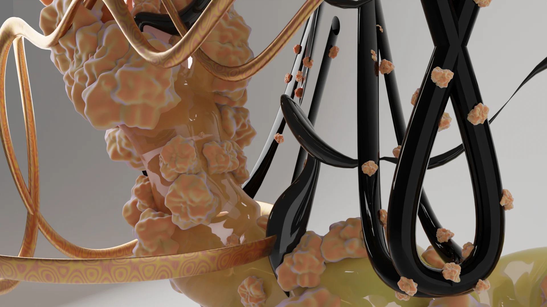 Workout, second camera: glossy black loops and coral clusters, 3D render